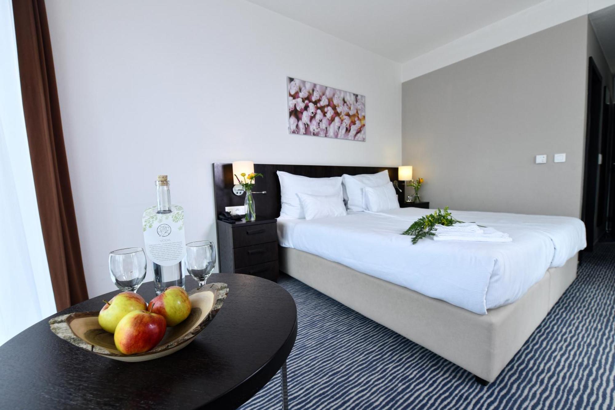 Wellness Hotel Vista Dolni Morava Luaran gambar