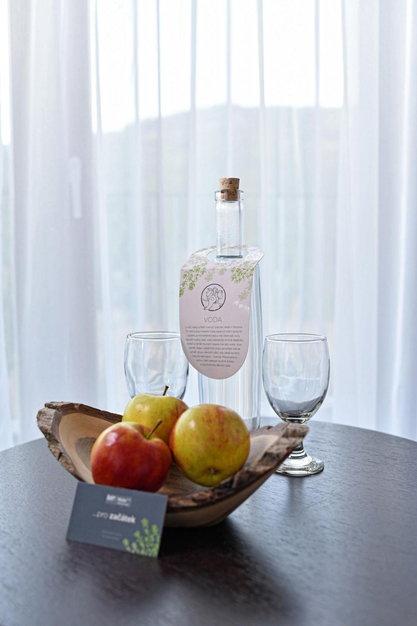 Wellness Hotel Vista Dolni Morava Luaran gambar