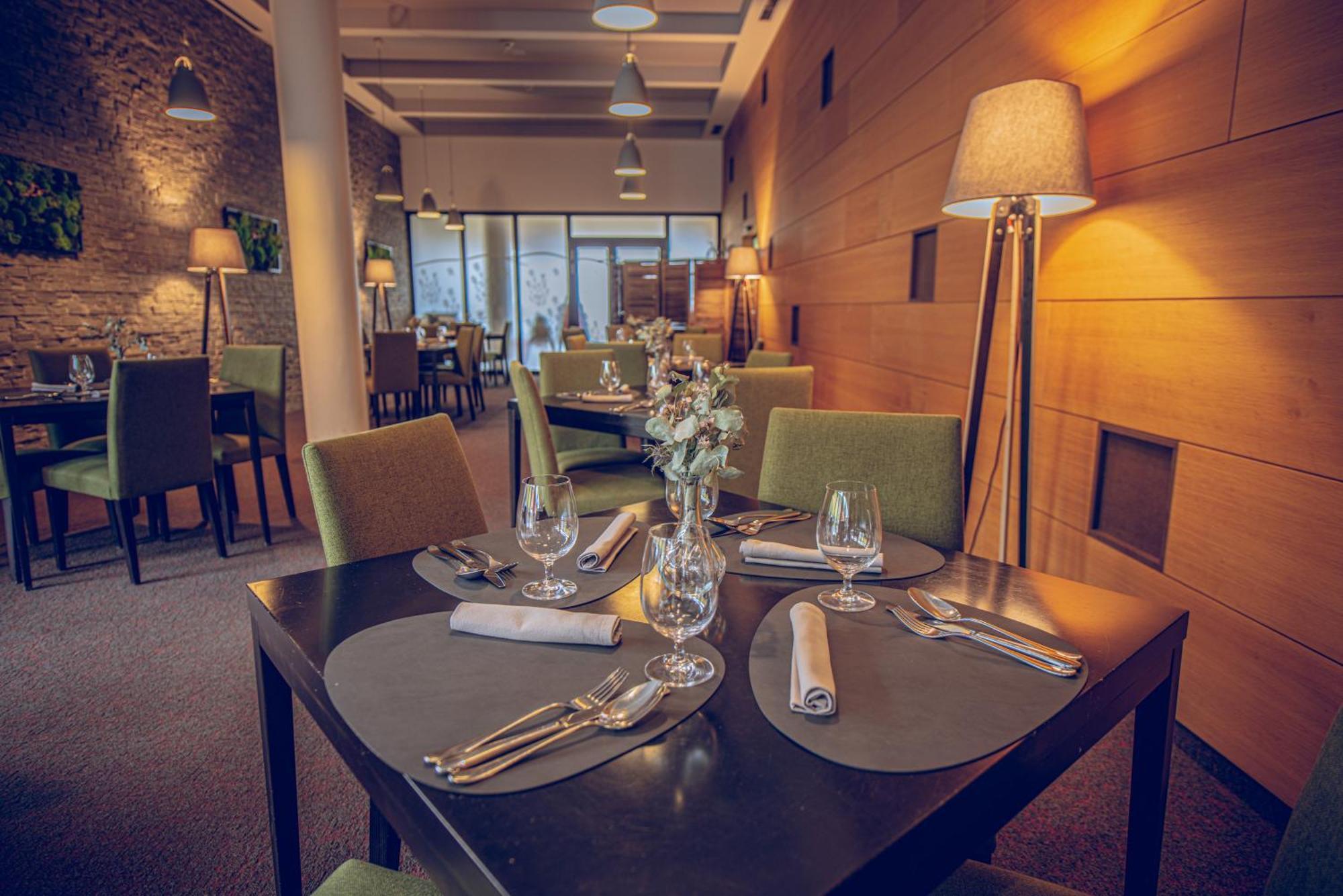 Wellness Hotel Vista Dolni Morava Luaran gambar