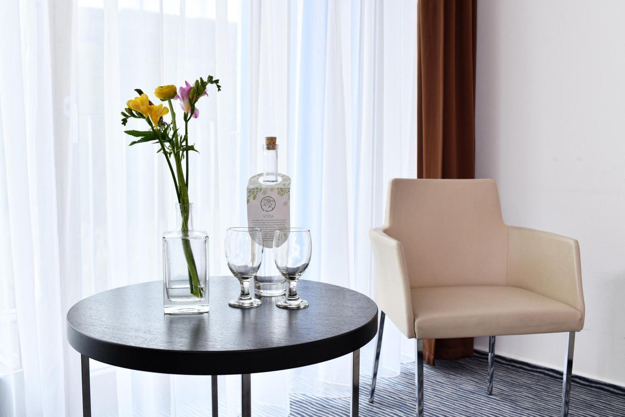 Wellness Hotel Vista Dolni Morava Luaran gambar